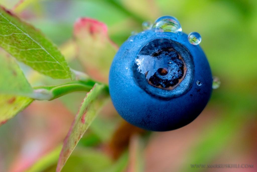 Yllaeksen Yoepuu Villa แอแกชลอมโปโล ภายนอก รูปภาพ