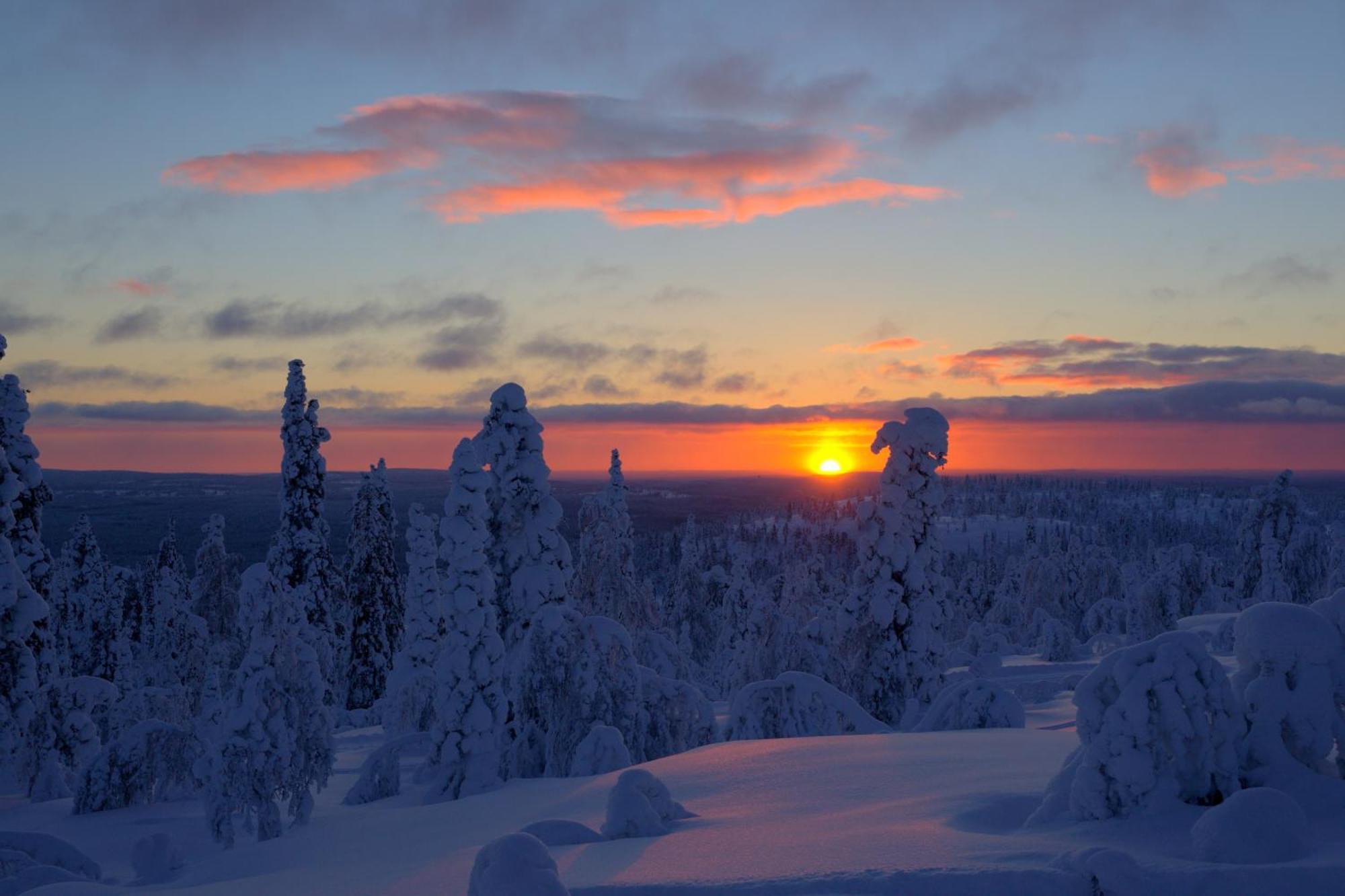 Yllaeksen Yoepuu Villa แอแกชลอมโปโล ภายนอก รูปภาพ